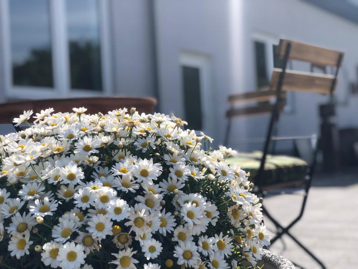 Pension Zum Stein Hohenkirchen  Luaran gambar